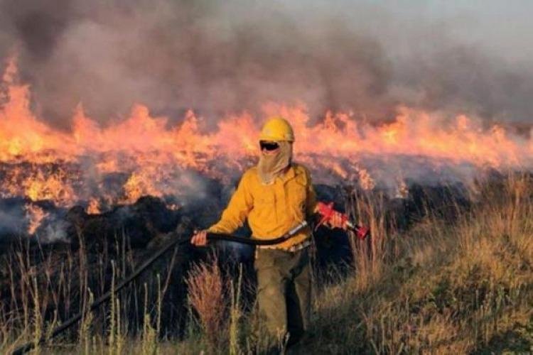 Confirman que los incendios en Corrientes quemaron el 12% del territorio provincial total