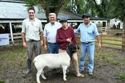 “Seguimos impulsando la producción y consumo de carne ovina»