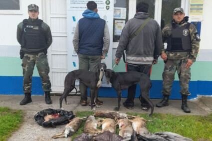 Lavalle | Aprehendieron a dos hombres por cazar con perros galgos y sin permisos